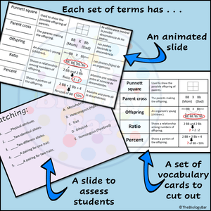 Genetics Vocabulary PowerPoint Guided Notes