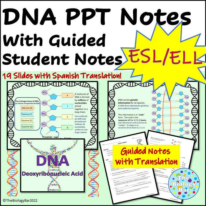 Biology DNA PowerPoint Notes and Student Notes