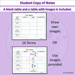 Biology Meiosis Vocabulary Notes