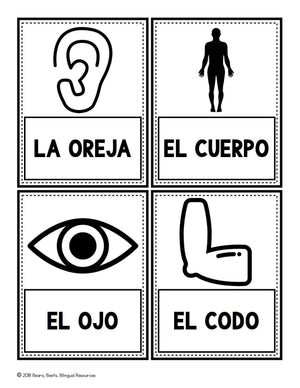 Bilingual Body Part Word Cards