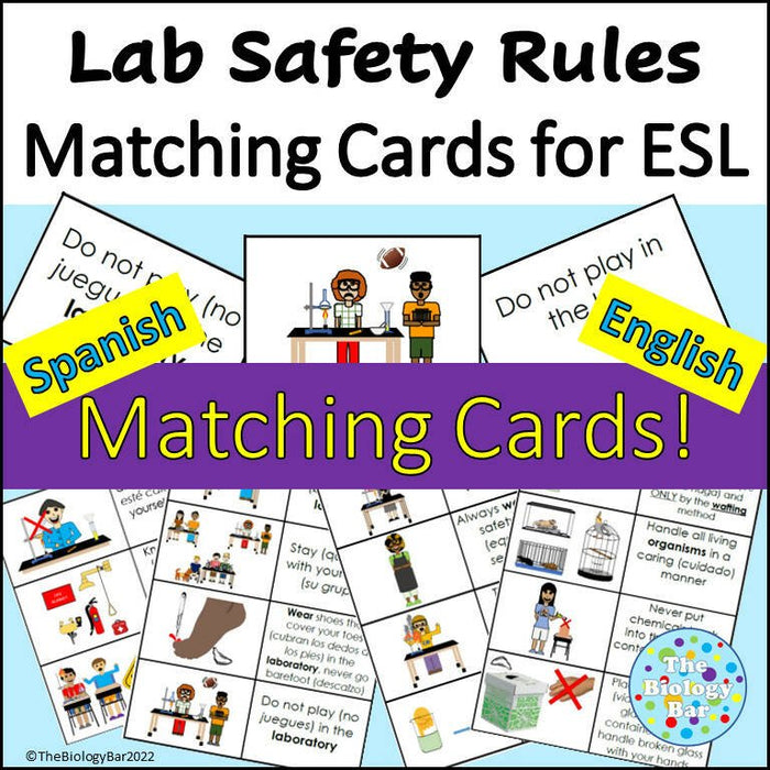 Lab Safety Rules Matching Cards