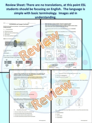 Biology Cell Transport Review and Test