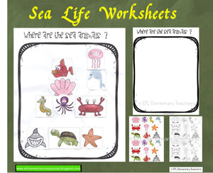 Sea, Ocean or Underwater Animals for Elementary ESL