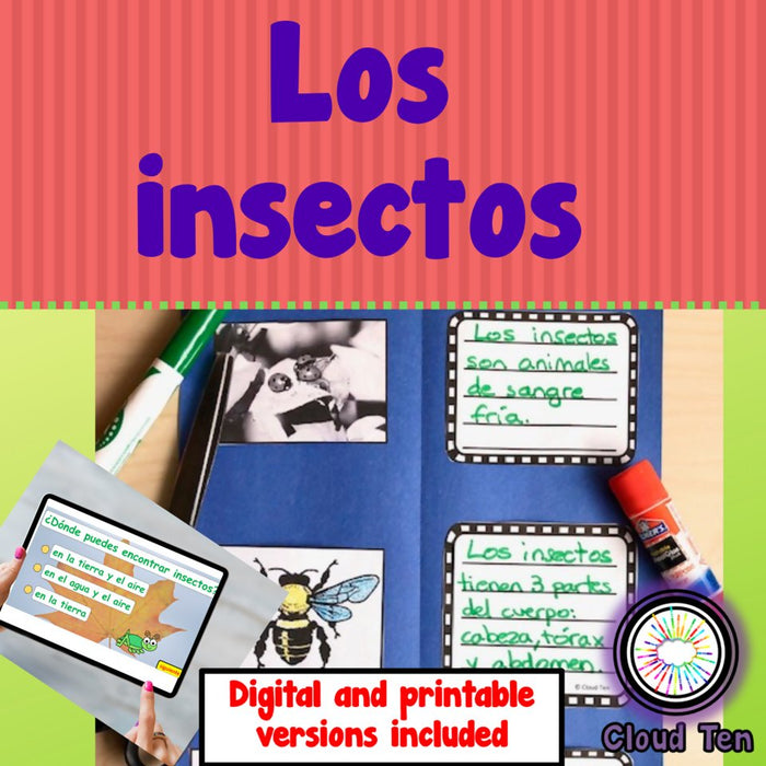 Los insectos