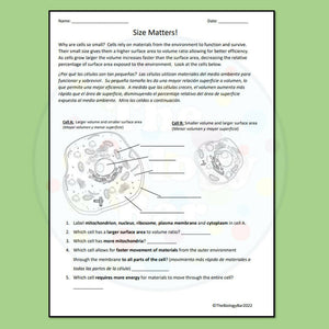 Biology Cell Size and Transport