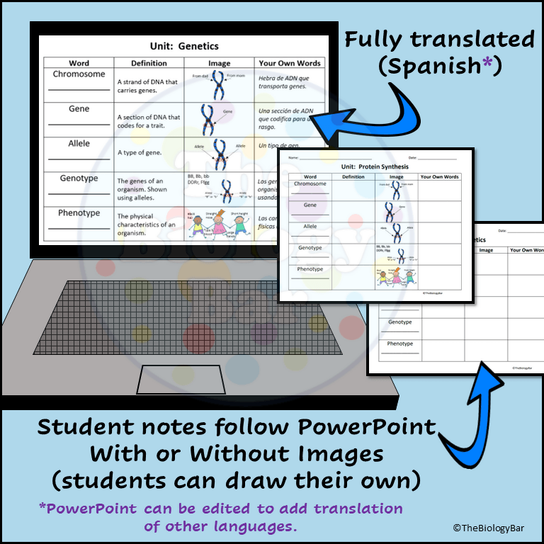 Genetics Guided Notes Genetics Vocabulary PowerPoint Guided Notes – Bilingual Marketplace
