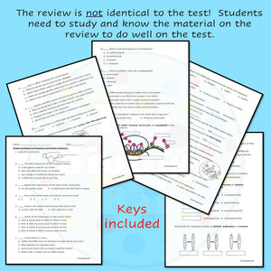 Biology Protein Synthesis and Mutations Review and Test