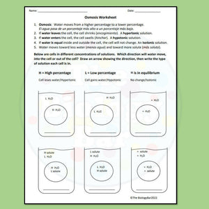 Biology Cell Transport Osmosis Notes