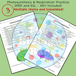 Biology Cell Energy Worksheet Set of 2