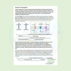 Biology Cell Transport Reading and Writing