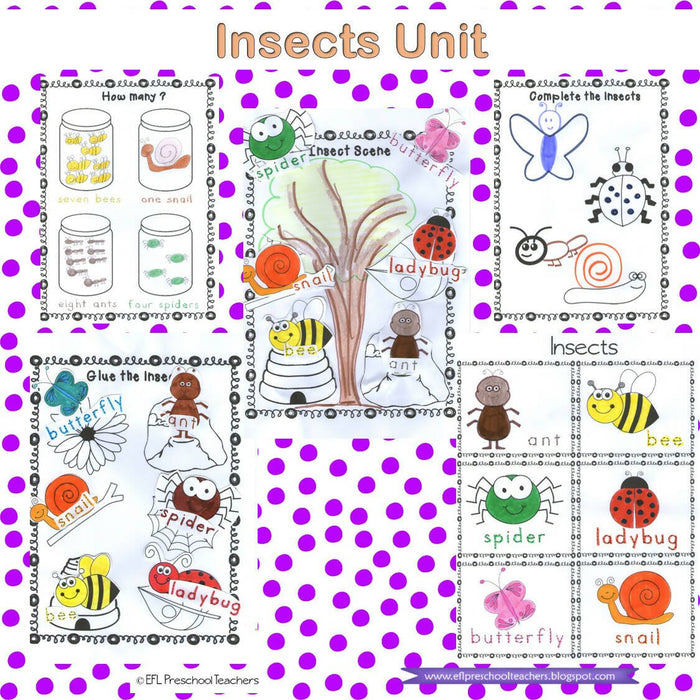 Insect Unit for Preschool ELL