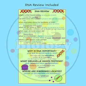 Biology Protein Synthesis PowerPoint and Student Notes