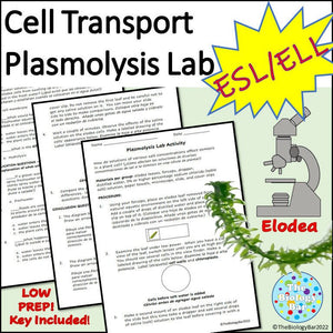 Biology Cell Transport Osmosis Lab
