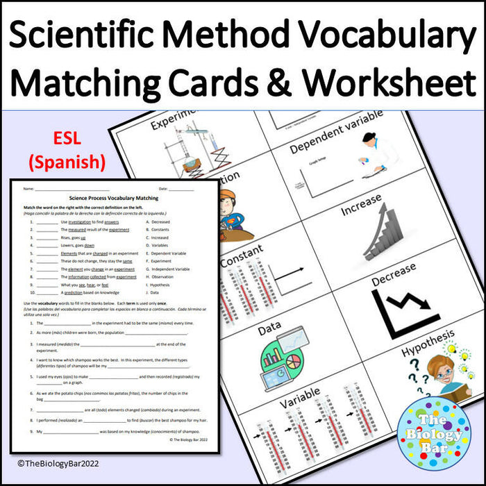 Scientific Method Vocabulary Cards and Worksheet