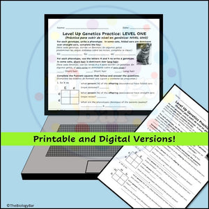 Genetics Level Up Worksheets