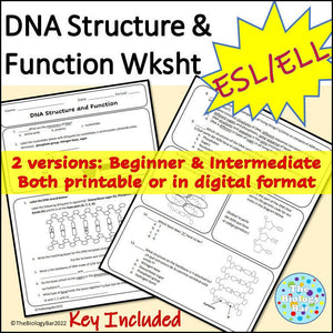 Biology DNA Structure & Function Worksheet