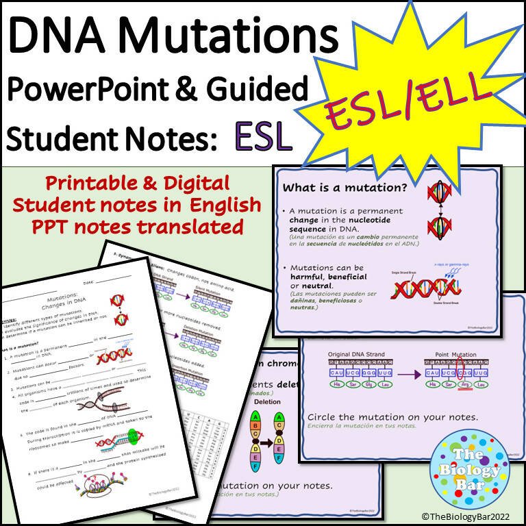 Mutations Short Note Biology DNA Mutations PowerPoint and Student Notes – Bilingual Marketplace