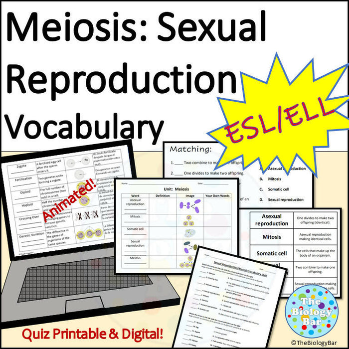 Biology Meiosis Vocabulary Notes