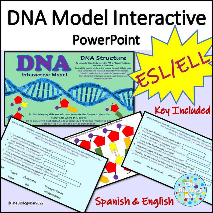 Biology DNA Structure Interactive PowerPoint