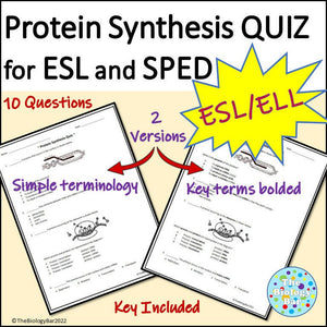 Biology Protein Synthesis Quiz