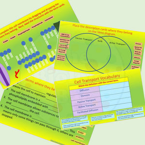 Biology Cell Transport Interactive PowerPoint