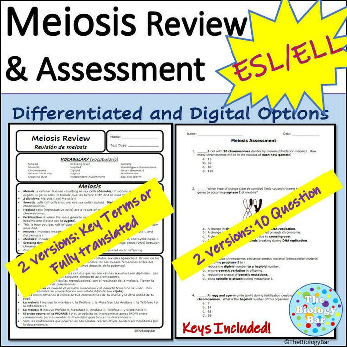 Biology Meiosis Review and Assessment