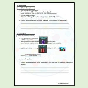 Biology Cell Transport Bioman Simulation