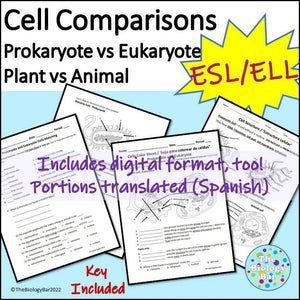 Biology Cells Prokaryote & Eukaryote Worksheet