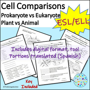 Biology Cells Prokaryote & Eukaryote Worksheet
