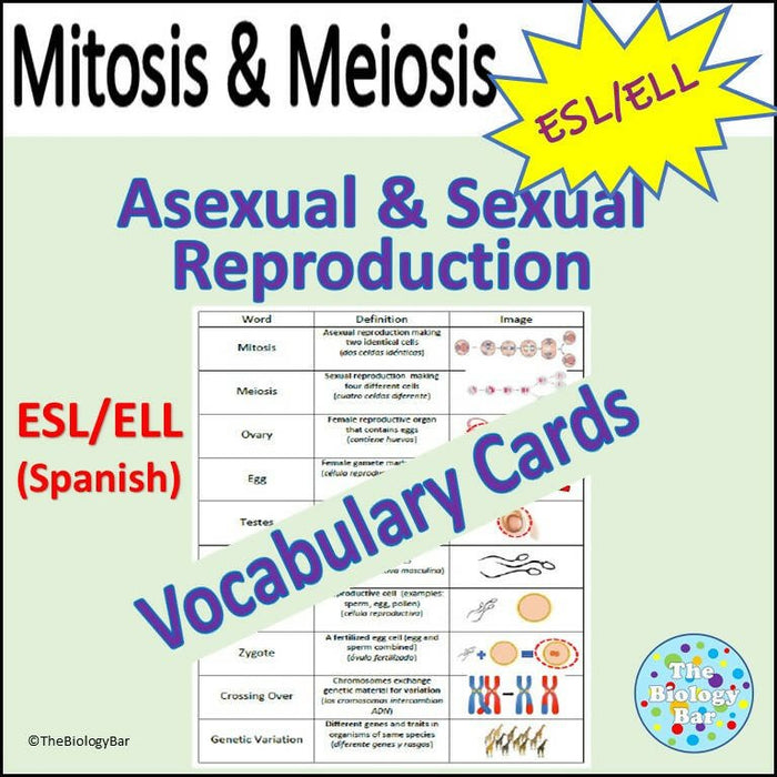 Biology Meiosis Reproduction Vocabulary Cards