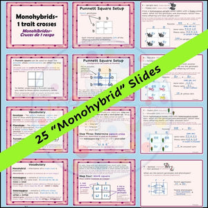 Genetics PowerPoint Notes