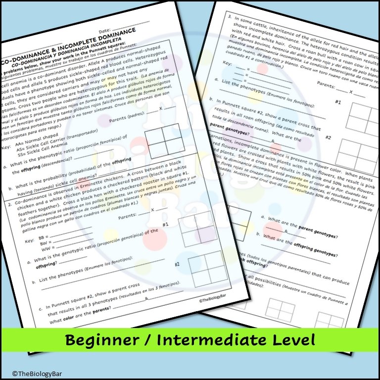 Incomplete Dominance Worksheet.pdf Genetics Incomplete Dominance Codominance Punnett Square Problems ...