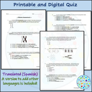Biology Meiosis Review and Assessment