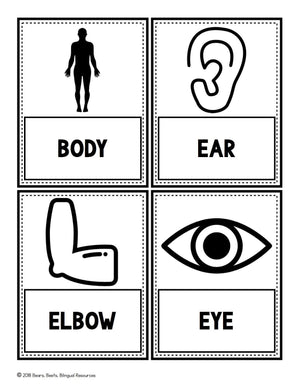 Bilingual Body Part Word Cards