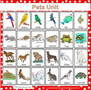 Pet Theme for Elementary ELL