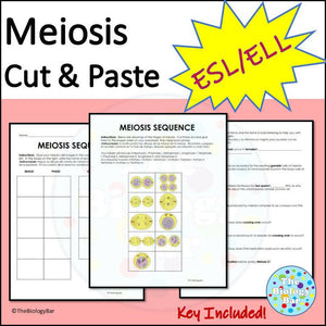Biology Meiosis Sequence Cut & Paste Worksheet