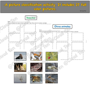 Los insectos in Google Slides™