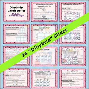 Genetics PowerPoint Notes