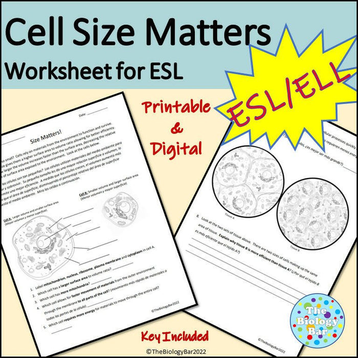 Biology Cell Size and Transport