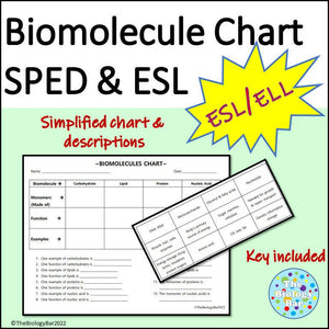 Biology Biomolecules Chart Cut & Paste