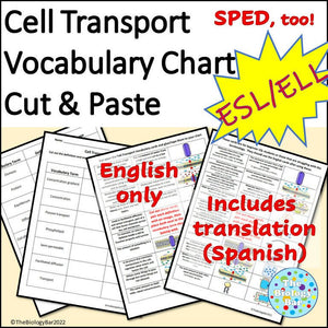 Biology Cell Transport Vocabulary Card Sort