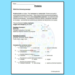 Biology Biomolecule Introduction or Review Reading & Questions