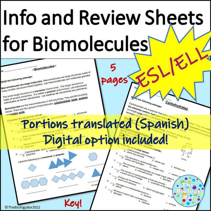 Biology Biomolecule Introduction or Review Reading & Questions