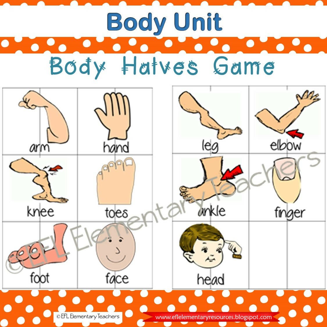 Body Theme for Elementary ELL – Bilingual Marketplace