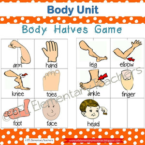 Body Theme for Elementary ELL