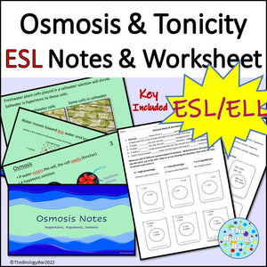 Biology Cell Transport Osmosis Notes