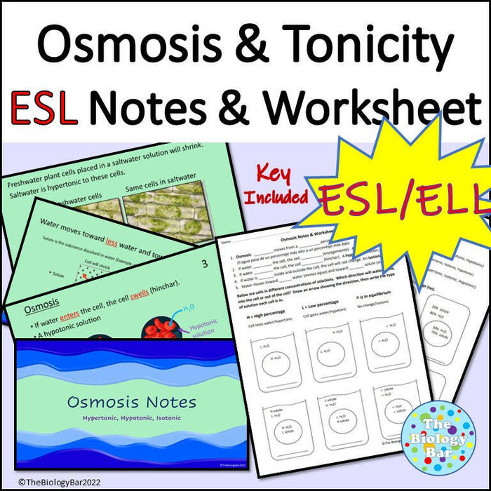 Biology Cell Transport Osmosis Notes