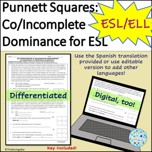 Genetics Incomplete Dominance Codominance Punnett Square Problems