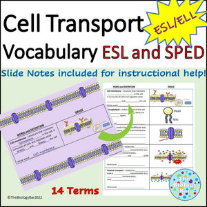 Biology Cell Transport Vocabulary Notes