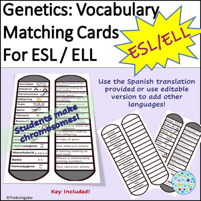 Genetics Vocabulary Matching Cards